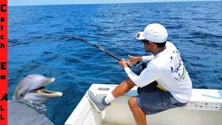 Can You Catch a Dolphin | Fishing Facts 2023
