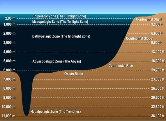 How Deep is 20 Fathoms | Depth Measurement of 20 Fathoms: Exploring Ocean Depths 2023