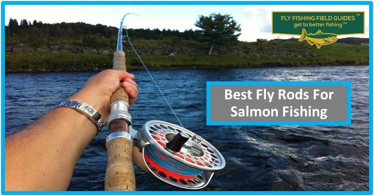 What Weight Fly Rod for Salmon And Steelhead | Selection Guide 2023