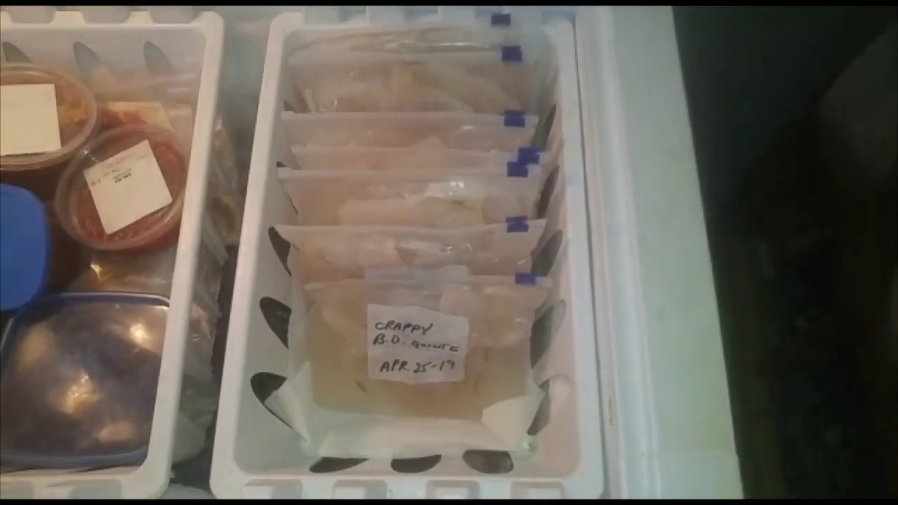 How to Freeze Crappie Freezing Crappie Fish 2023 Fishing Train