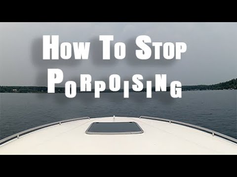 What is Porpoising in a Boat | Definition and Causes 2023