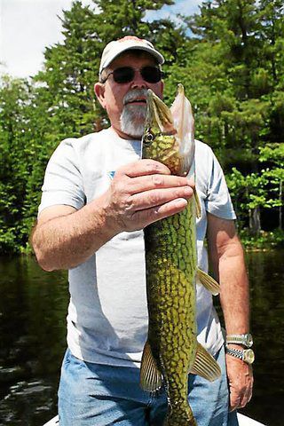 How to Hold a Pickerel | Fish Handling Tips 2023