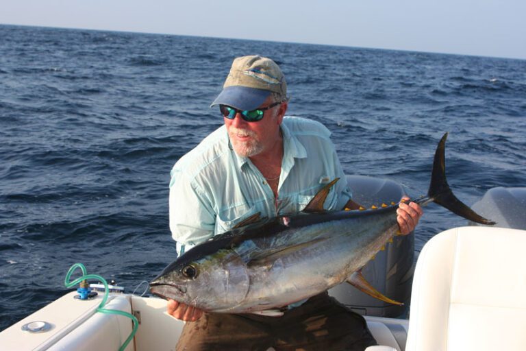 How Many Yellowfin Tuna Can You Catch Per Day | Fishing Limits 2023